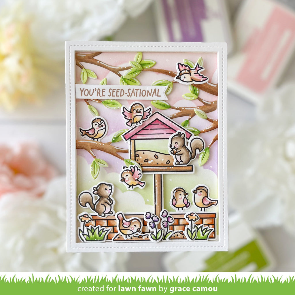 backyard bird feeder add-on