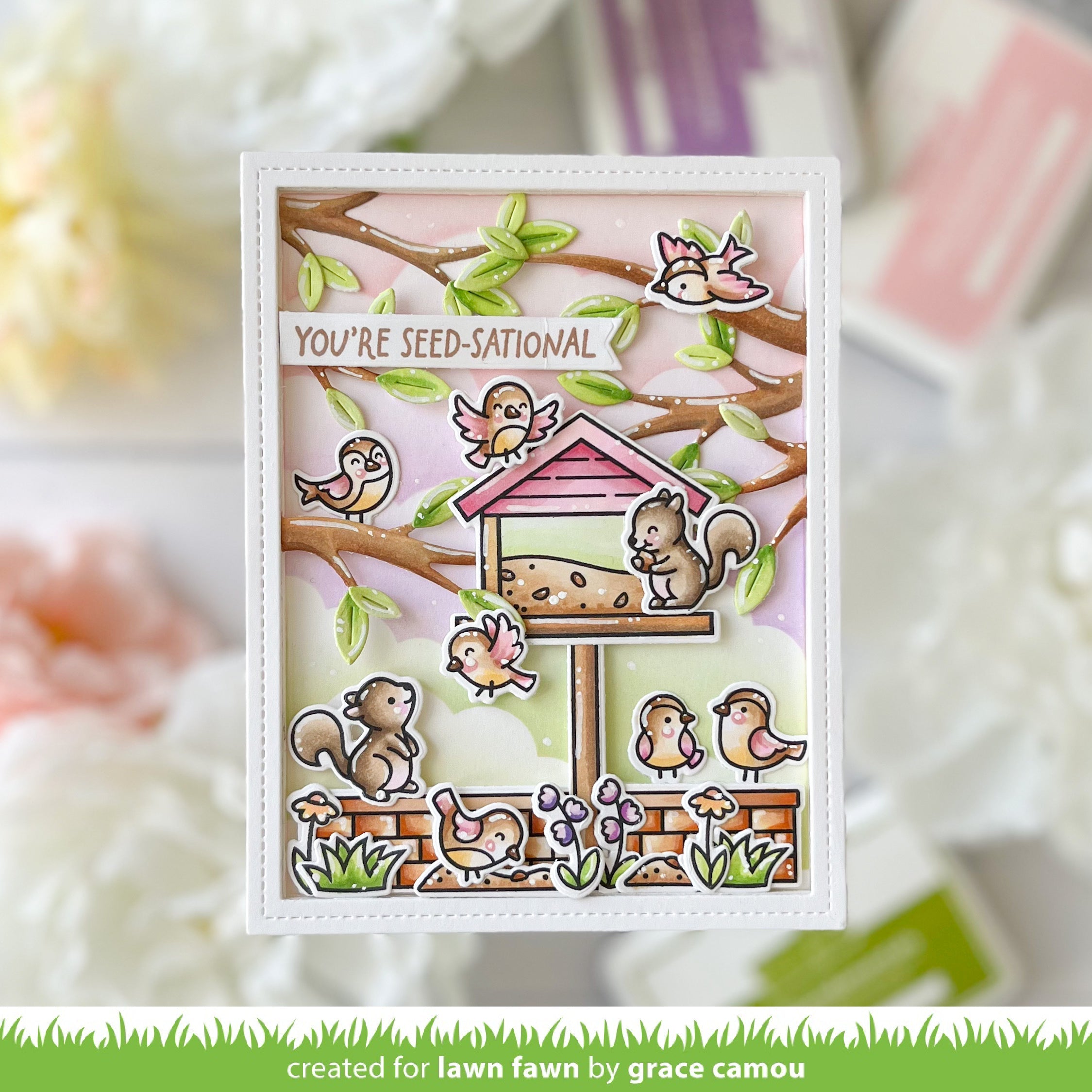 backyard bird feeder add-on
