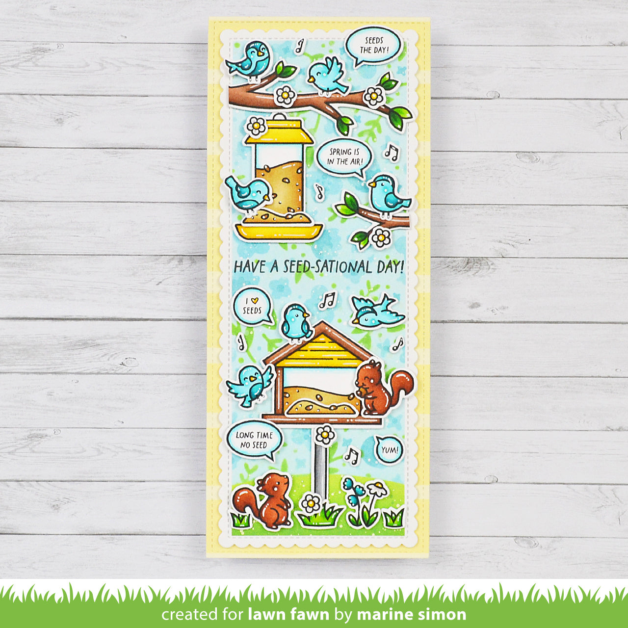 backyard bird feeder add-on