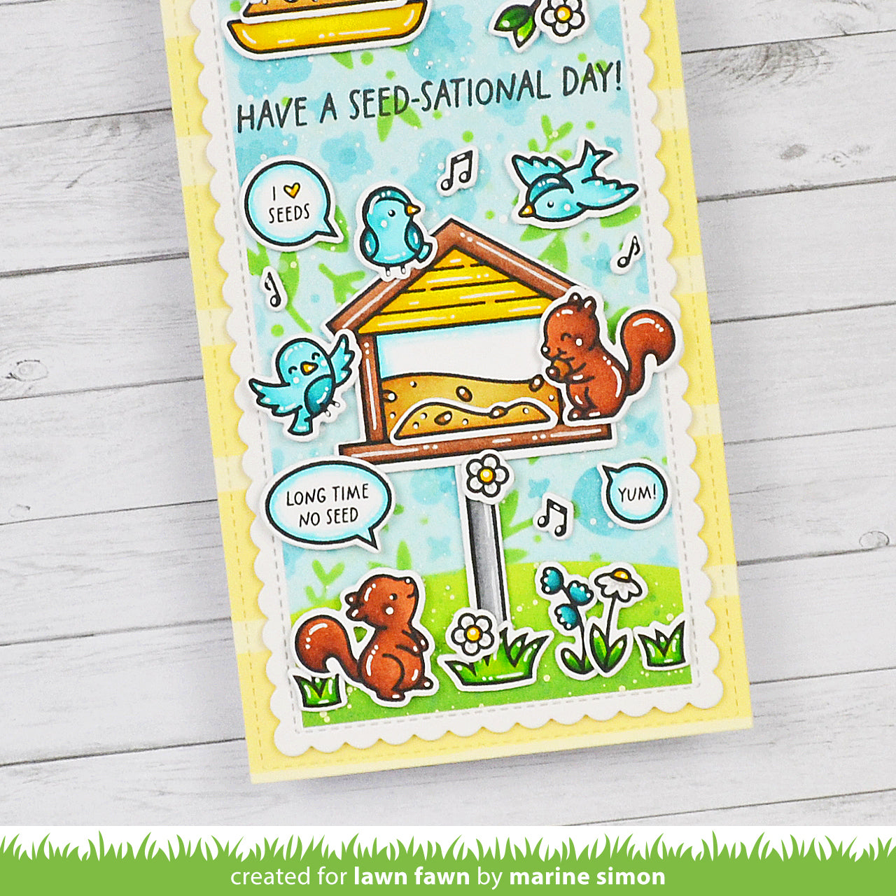 backyard bird feeder add-on