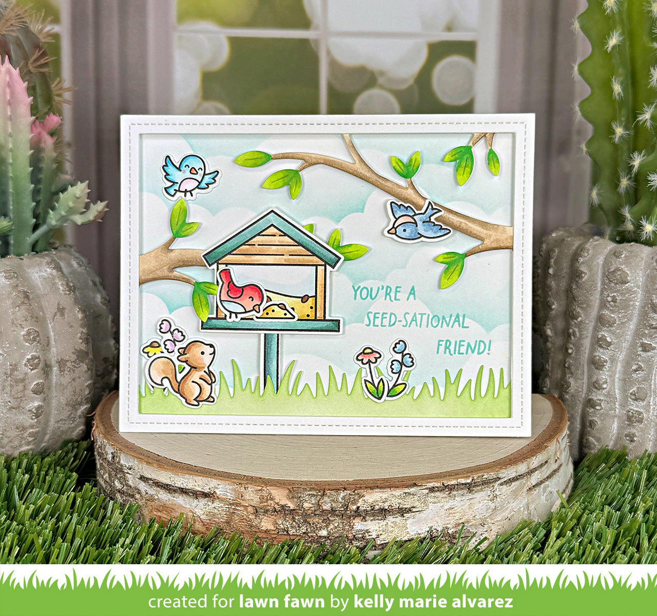 backyard bird feeder add-on