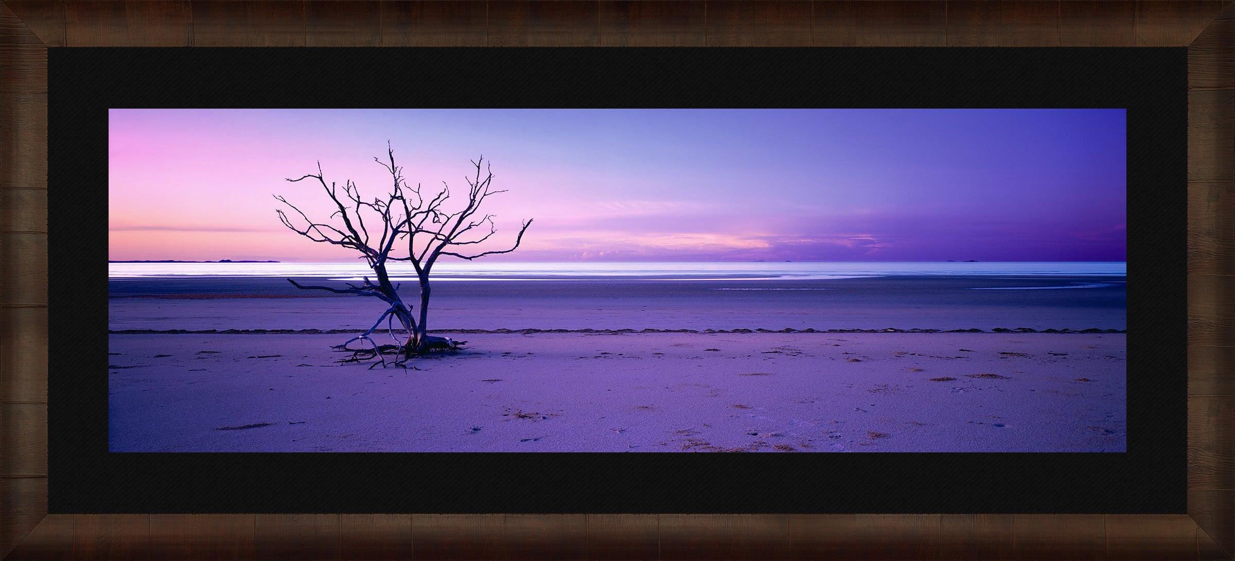 Solitude