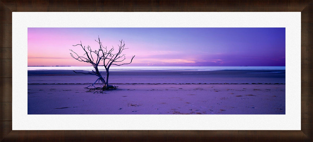 Solitude
