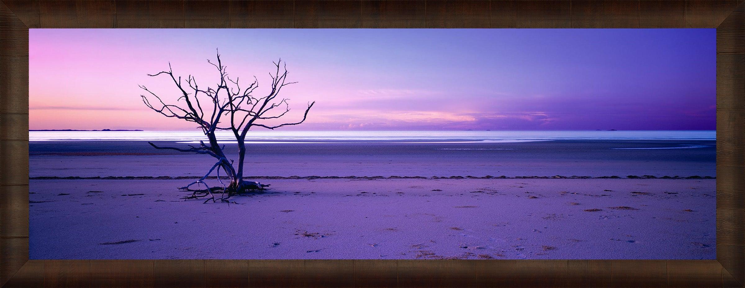 Solitude