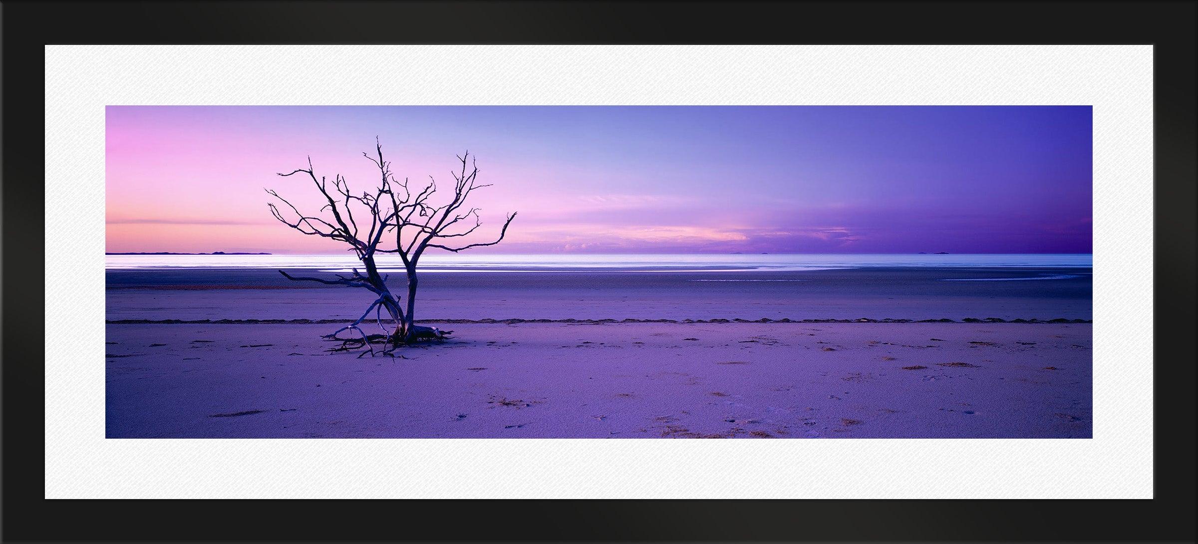 Solitude