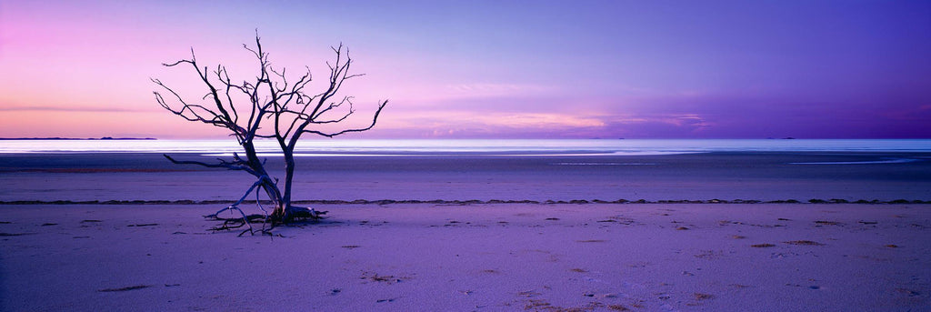 Solitude