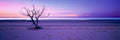 Solitude