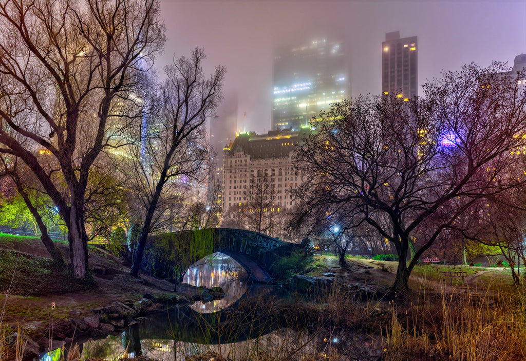 Solitude in the City