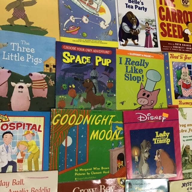 Small Illustrated Paperback Mixed Box (ages 3-9)