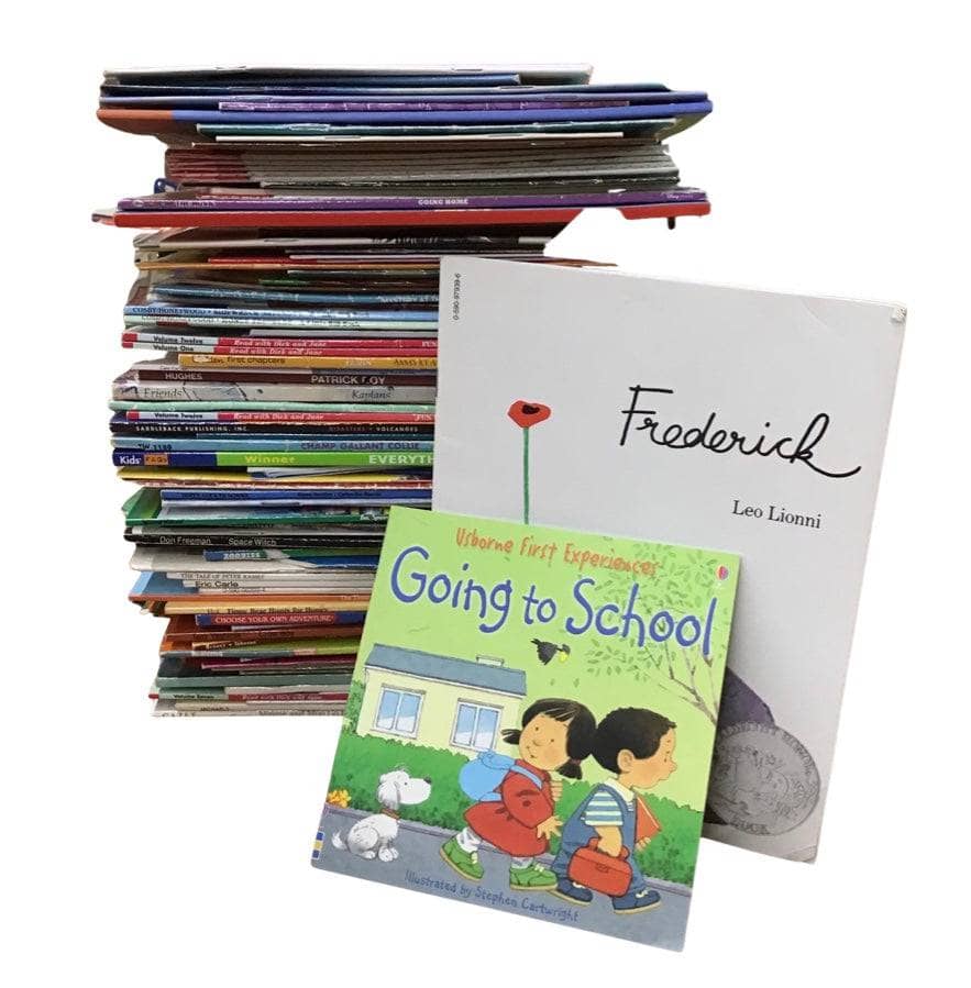 Small Illustrated Paperback Mixed Box (ages 3-9)