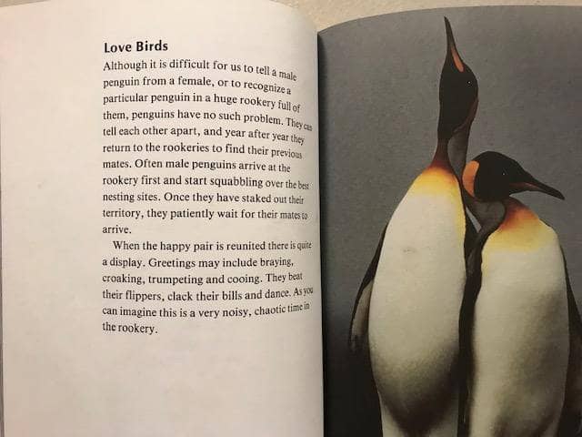 Nature's Children Animal Nonfiction (ages 7-10)